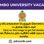13+ New Colombo University Vacancies 2023 colombo-university-vacancies