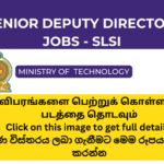 Sri Lanka Standards Institution - SLSI Jobs 2023 government-job-vacancies