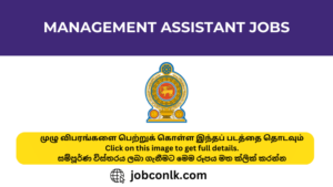 Management Assistant Vacancies