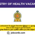 10+ New Ministry of Health Vacancies 2024 ministry-of-health-vacancies