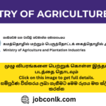 ministry-of-agriculture-jobs
