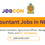 Accountant Jobs in NILET accountant-jobs-in-nilet
