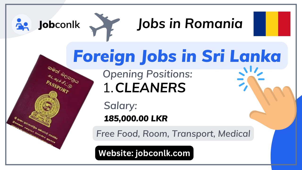 20+ New Cleaner Jobs in Romania 2024