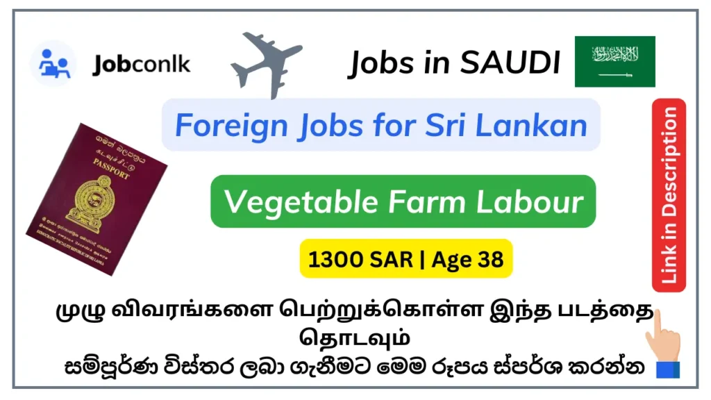 20 New Vegetable Farm Labour Jobs in Saudi Arabia foreign job vacancies 1