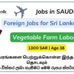 foreign job vacancies 1