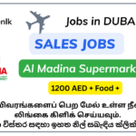 15+ New Sales Jobs in Madina Hypermarket Dubai, UAE foreign job vacancies