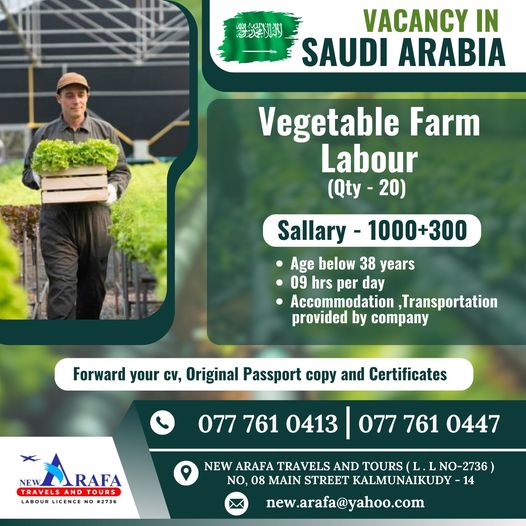 20 New Vegetable Farm Labour Jobs in Saudi Arabia jobs-in-saudi-arabia