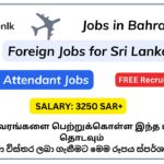 10+ New Room Attendant Jobs in Bahrain room-attendant-jobs-in-bahrain