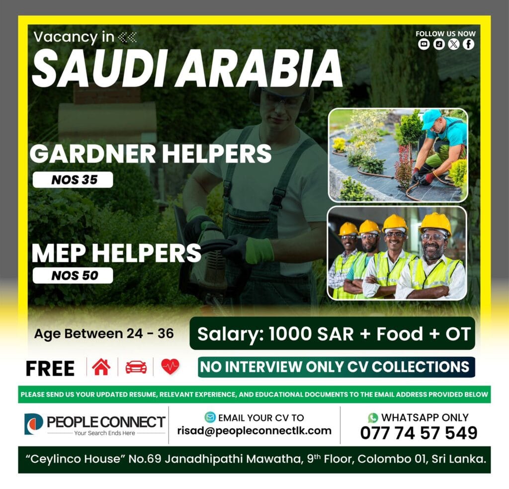 100+ Gardener Helper, Map Helpers Jobs in Saudi Arabia jobs in saudi arabia