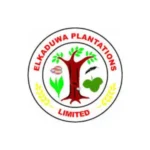 Finance Manager - Elkaduwa Plantations Limited Vacancies Elkaduwa Plantations Limited
