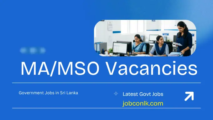Management Assistant